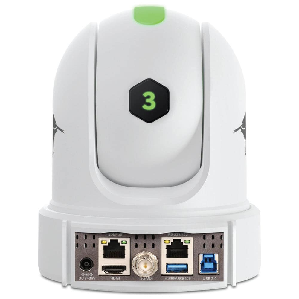 BirdDog P110W PTZ Camera - rear